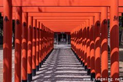 岳麓區(qū)咨詢企業(yè)建站如何選擇？